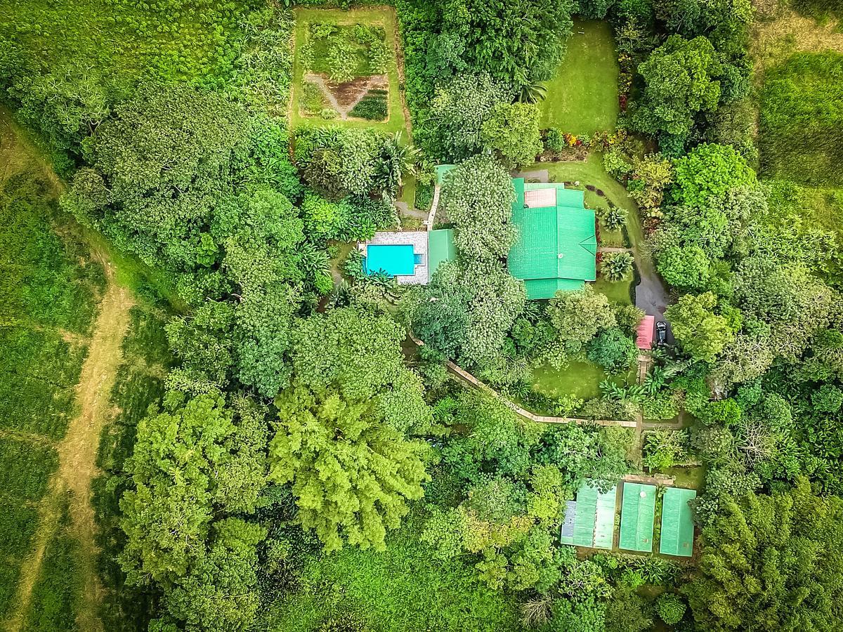 Tropical Paradise Bungalows Pital  Dış mekan fotoğraf